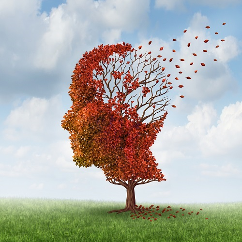 CP201 for ADNP syndrome